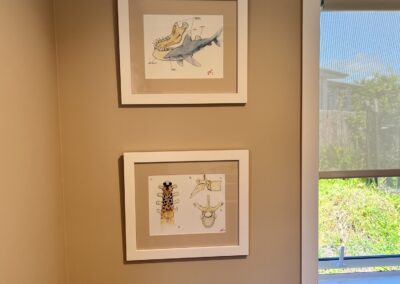 Fitting out the Bell Physiotherapy treatment room (photo 55)